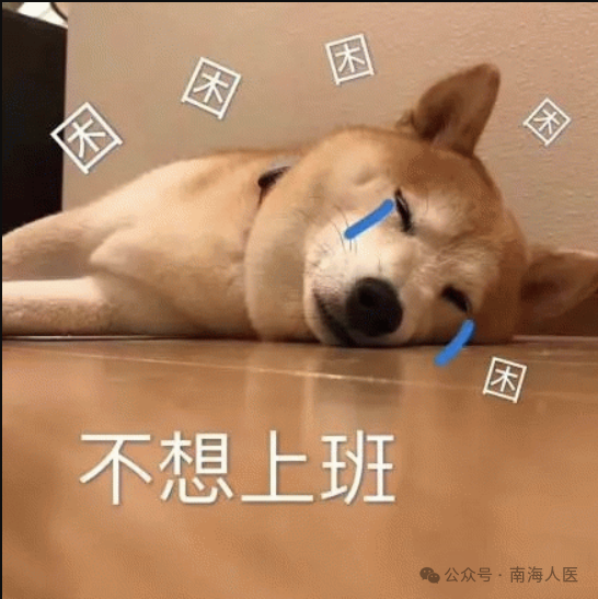 202402191646298398.Png